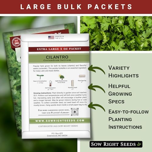 Sow Right Seeds - 2000 Cilantro Seed for Planting Bulk Jumbo Pack Coriander - Image 2