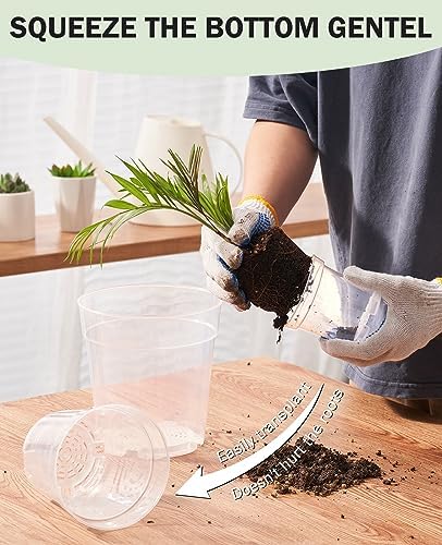 homenote 4 Inch Clear Nursery Pots with Drainage Holes for Plants (30 Pcs) - Image 5