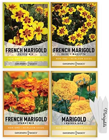 Gardeners Basics, Marigold Seeds for Planting Outdoors (4 Variety Pack) French Marigold Petite Mix, Dainty Marietta, Sparky, and African Marigold Seeds Crackerjack for Pollinators Wildflower Seed by GardenersBasics