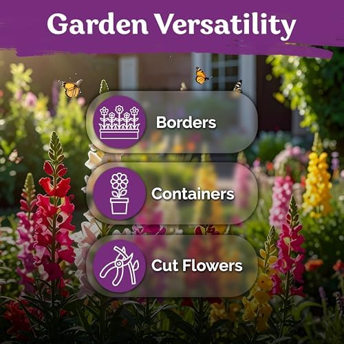 1,500 Tetra Mix Snapdragon Flower Seeds for Planting, Antirrhinum Majus - Image 6