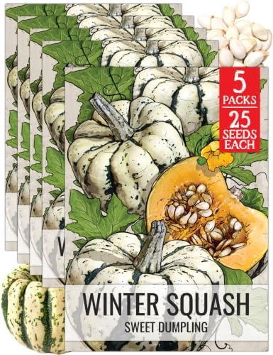 Seed Needs Sweet Dumpling Winter Squash Seeds to Plant Vegetables - 5 Packs by SeedNeeds