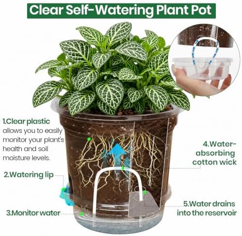 Bluepro Self Watering Pots for Indoor Plants, 10/8/6.5/5 Inch, 16-Pack - Image 3