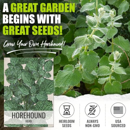 Seed Needs Horehound Seeds to Plant an Herb Garden - 2 Packs - Image 2