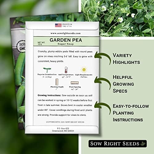 Sow Right Seeds - Sugar Snap Pea Seed for Planting Outdoors Vegetable - Image 2
