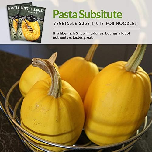 Spaghetti Squash Seeds for Planting - 3 Packs - Image 6