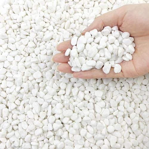 FANTIAN 2 lbs White Rocks for Plants, 3/8 Inch Aquarium Gravel, Pea Gravel by FANTIAN-GardeningMakesLifeBetter