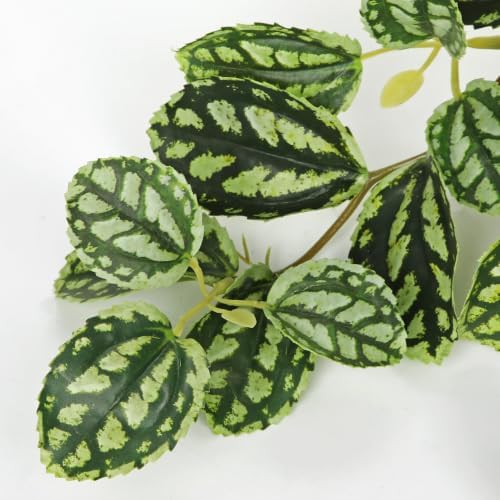 Briful Artificial Potted Plant Indoor, 19.6" Faux Watermelon Peperomia Trailing Plant in Black Pot, Realistic Fake Plants with Cascading Green Leaves for Shelf Bathroom Office Desk Kitchen Home Decor - Image 3