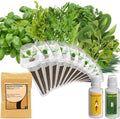 inbloom Gourmet Herb Seed Pod Kit for AeroGarden, iDoo, Ahopegarden with Basil, Parsley, Cilantro, Chrysanthemum, Pak Choi, Crystalline Ice Plant, Onion, Hydroponics Growing System Supply (12-Pod) by inbloomgarden