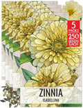 Seed Needs Isabellina Zinnia Seeds to Plant Cut Flowers - 5 Packs by SeedNeeds