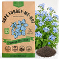 Cape Forget-Me-Not Seeds Pack 3G - Over 1,400 Non-GMO Heirloom Cape Forget-Me-Not Seeds for Planting Flowers in Individual Seed Packet, Flower Seeds for Planting Home Garden Indoor & Outdoor Gardening by OrganoRepublic