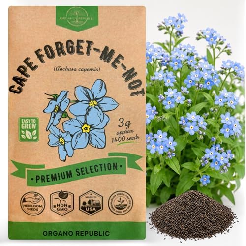 Cape Forget-Me-Not Seeds Pack 3G - Over 1,400 Non-GMO Heirloom Cape Forget-Me-Not Seeds for Planting Flowers in Individual Seed Packet, Flower Seeds for Planting Home Garden Indoor & Outdoor Gardening by OrganoRepublic