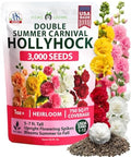 HOME GROWN Hollyhock Summer Carnival Mix 3000 Flower Seeds Alcea rosea by HOMEGROWN