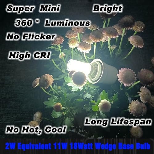 12V T5 T10 Wedge Base 2W 6000K Daylight White 194 921 LED Bulb, 10 Pack - Image 6