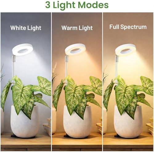 LBW Grow Lights for Indoor Plants, Full Spectrum Halo Grow Light with Base - Image 4