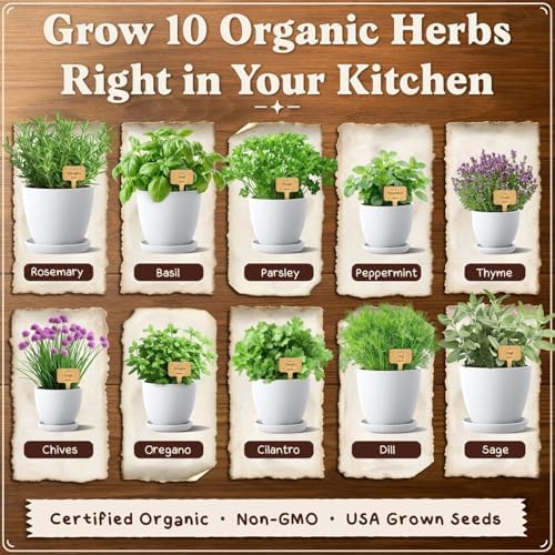 Indoor Herb Garden Starter Kit with 10 USDA Organic Seeds and Pots - Image 4