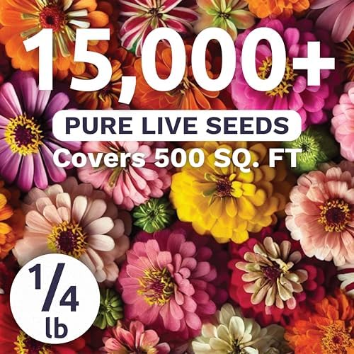 Zinnia Crazy Blend - Bulk 1/4 Pound Pouch - 15,000 Flower Seeds for Planting - Zinnia elegans - Image 2