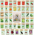 Set of 43 Assorted Vegetable & Herb Seed Packets - Over 10,000 Seeds! - Includes Mylar Storage Bag - Deluxe Garden Heirloom Seeds - 100% Non-GMO by BlackDuckBrand