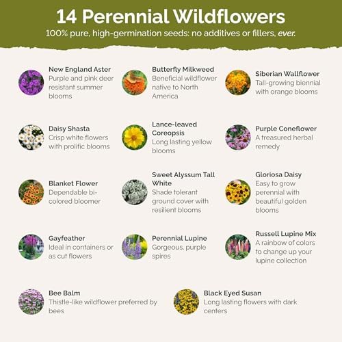 Eden Brothers Northeast All Perennial Wildflower Mixed Seeds, 5 lb - Image 3