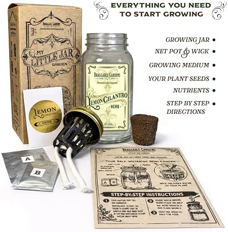 Lemon Cilantro Indoor Herb Garden Kit – Mason Jar Hydroponic Grow Kit – Windowsill Countertop Herb Planter – Grow Fresh Cilantro Indoors - Image 2