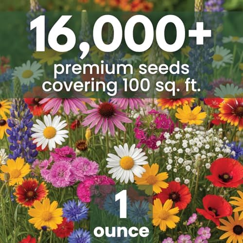 Northeast Natives Mix – 16,000 Seeds for Planting – 2026 Season – 1 Ounce Pouch - Image 2