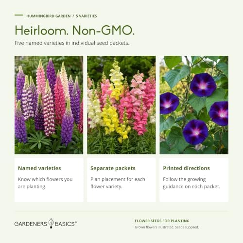 Gardeners Basics Hummingbird Garden Flower Seeds for Planting, 5 Varieties - Image 3