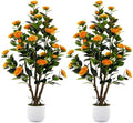 2 Pack Artificial Camellia Tree with White Pot, 38" Faux Potted Plants for Indoor Outdoor Decor, Tall Silk Greenery Plant for Home Offce Living Room Balcony,White, Orange by Jcezvnt