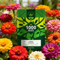 Zinnia Elegans Seeds for Planting Outdoor, 1000 Annual Gardens Flower Seeds by Unknown