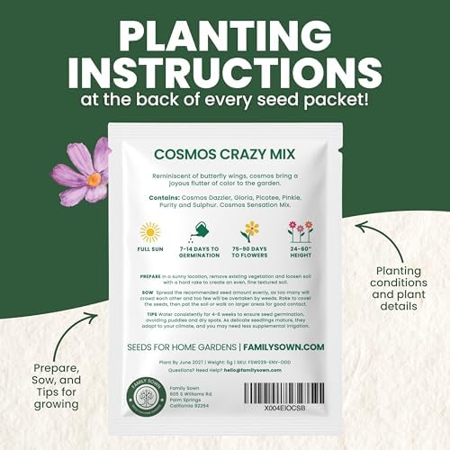 Crazy Cosmos Mix - Large 5g Envelope - 600 Flower Seeds for Planting - Cosmos bipinnatus - Image 4
