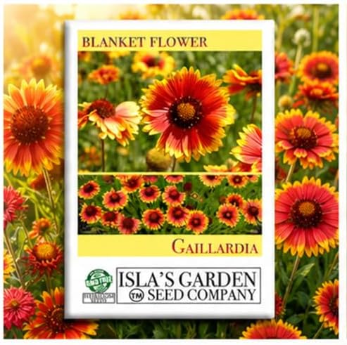 Blanketflower Gaillardia Seeds (Gaillardia aristata) – 500+ Non-GMO Heirloom Seeds by Isla’s Garden Seeds, Vibrant Perennial Wildflowers, Attracts Butterflies & Bees, Drought-Tolerant & Easy to Grow by IslasGardenSeedsCompany