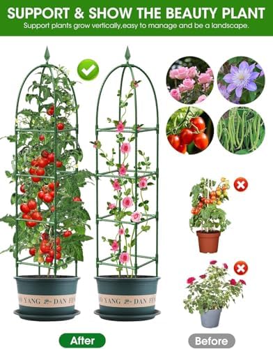 Garden Obelisk Trellis for Climbing Plants, 6FT Garden Obelisk Rustproof PE Coated Metal Potted Plant Climbing Support, Thickened Tube Plant Tower Trellis for Clematis Vine Support Indoor (2 Pack) - Image 5