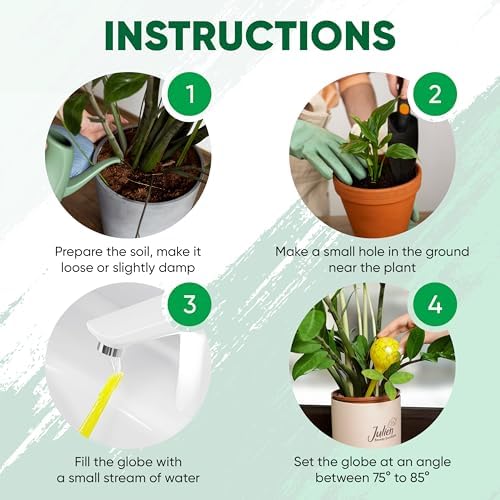 Plant Watering Globes Set of 6, Small - Glass Self Watering Globes - Image 6