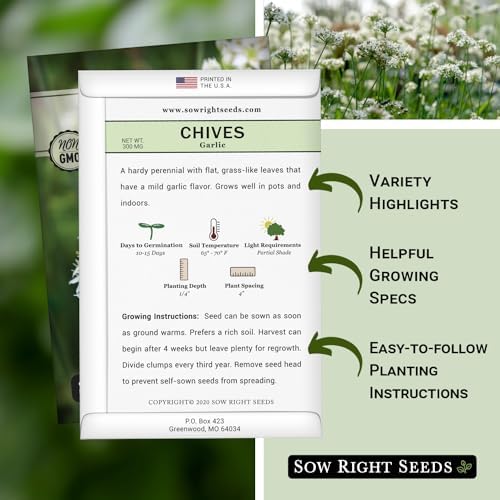 Sow Right Seeds - Garlic Chives Seeds for Planting Perennial Herb Garden - Image 2