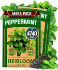 HOME GROWN Peppermint Seeds, 4,740 Seeds, Mentha x piperita by HOMEGROWN