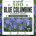Garden Seeds for Planting, 500 Blue Columbine by CZGrain