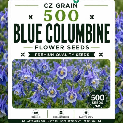 Garden Seeds for Planting, 500 Blue Columbine by CZGrain