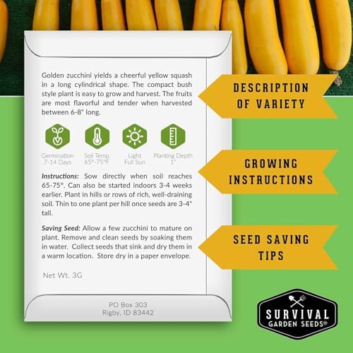 Golden Zucchini Seeds for Planting - 2 Packs - Image 2