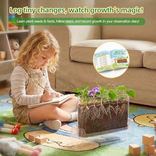 TitaniX Root Viewer Kit for Kids with 6 Seed Varieties, STEM Science Toy & Craft Growing Kits for Boys & Girls, Grow Your Own Plant for Ages 4-8 Birthday Gifts for Boy,4, 5, 6, 7, 8, Year Old - Image 6