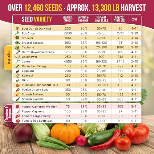 20 Vegetable Seeds Variety Pack - 12,465+ Non-GMO Heirloom Seeds for Planting Vegetables and Fruits in Individual Seed Packets, Home Garden Seed for Hydroponic, Indoor and Outdoors Gardening - Image 4
