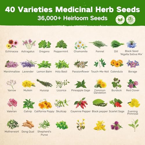 Lush&Dew Ancestral Apothecary Medicinal Tea Herb Seed Chest, Gardening Gift - Image 2