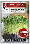 Sow Right Seeds - 2000 Cilantro Microgreen Seed for Growing Bulk Jumbo Pack by SowRightSeeds