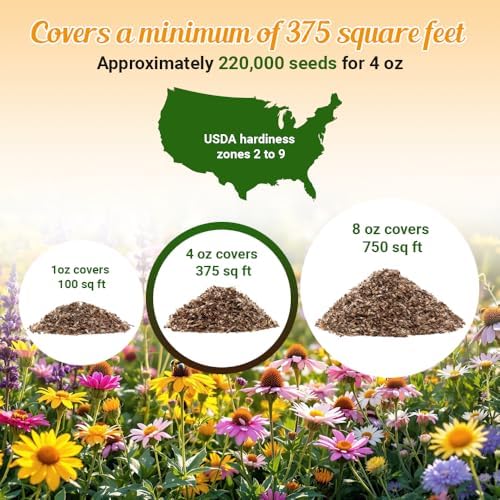 BBB Seed Drought Tolerant Wildflower Seeds Mix, Annual & Perennial, 4 oz - Image 5