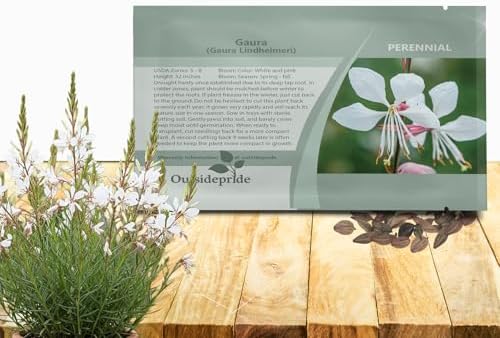 Outsidepride Gaura Seeds - 200 Pcs. Perennial, Drought Tolerant & Low Maintenance, Flower Seeds for Planting Easy to Grow, Vibrant & Tall White-Pink Blooms for Xeriscaping & Pollinator Gardens by Outsidepride