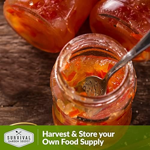 Orange Habanero Seeds for Planting – Survival Garden Seeds (1 Pack) - Image 6