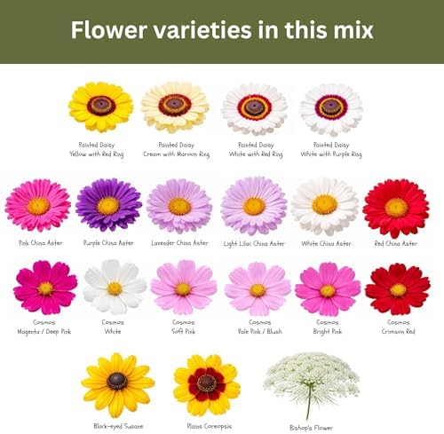 Cut Flower Seed Mix - 1 oz, 15,000+ Seeds - Image 6