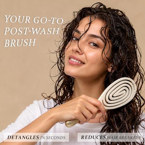 Detangler Hairbrush, Vented Soft Bristle Hair Brush - Image 3
