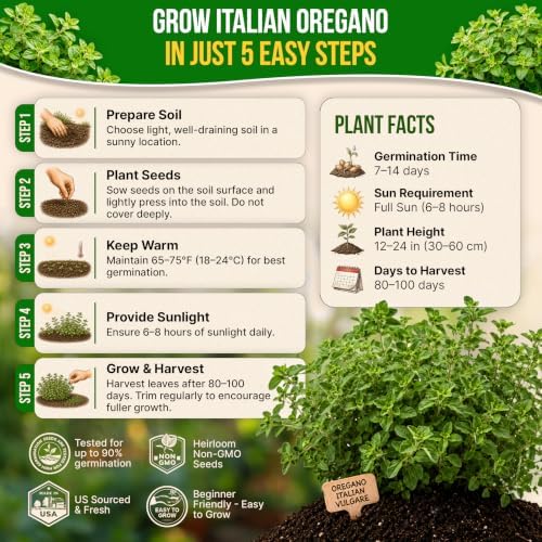 Oregano Seeds Pack 0.25 G - Over 3500 Non-GMO Heirloom Italian Vulgare Oregano Seeds for Planting - Image 6