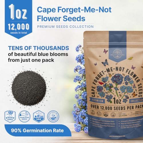 Cape Forget-Me-Not Seeds 1oz - Over 12,000 Non-GMO Heirloom Forget Me Not Seeds for Planting, Annual Flowers in Individual Seed Packet, Planting Home Garden Indoor & Outdoor Gardening - Image 3
