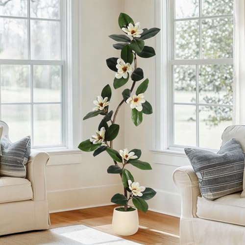 IDEALHOUSE 5ft Artificial Magnolia Tree, Faux Rubber Plant Floor Plant in White Planter, with 7 Pcs Magnolia Flowers for Home Decor for Home Office Living Room Decor by IDEALHOUSE