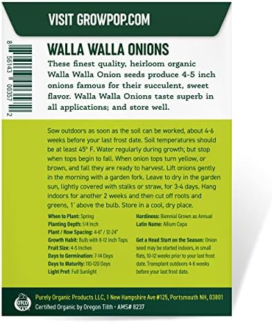 Organic Onion Seeds (Walla Walla) - Approx 200 Seeds - USDA Organic, Non-GMO, Open Pollinated, Heirloom, USA Origin (Pack of 2) - Image 3