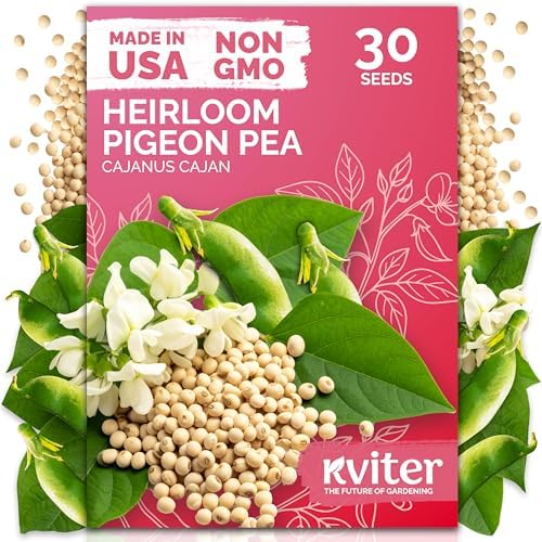 30 Guandules Pigeon Pea Heirloom Vegetable Seeds, Cajanus Cajan by KVITER